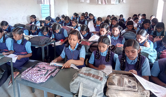 Student learning assessments